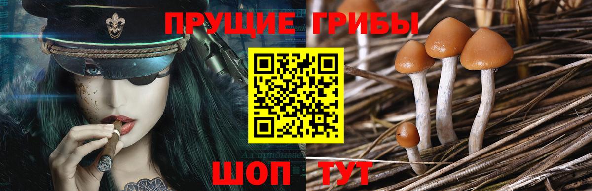 Псилоцибиновые грибы Psilocybine cubensis  Вход с VPN  купить наркотик  Галлюциногенные грибы ЛСД  Электрогорск 